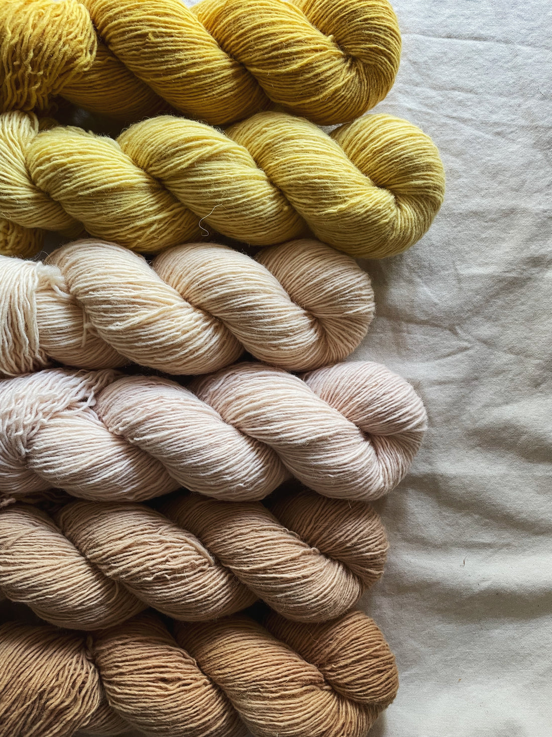  Wild Wool - 1 Ply SPORT