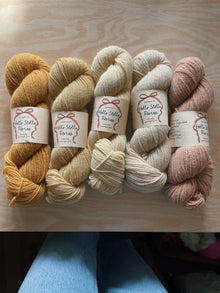  Wild Wool Yarn Bundle A - 2 Ply WORSTED