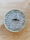 TACKLE BOX - Beaded Fish Charms (Extra Large)