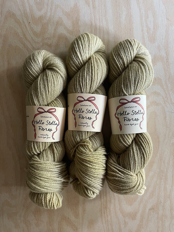 Wild Wool 2 Ply WORSTED - Bog 3