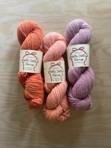  Wild Wool 1 Ply FINGERING 3 SKEIN BUNDLE - 07