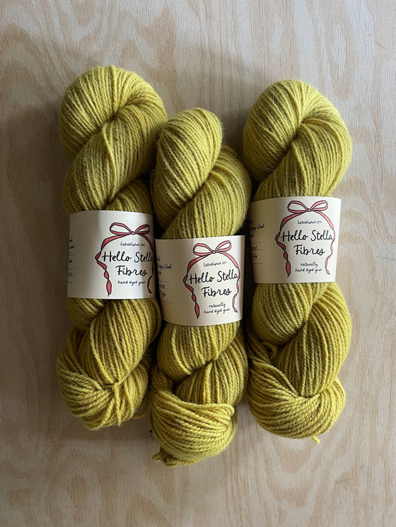 Wild Wool 2 Ply WORSTED - Lichen 1